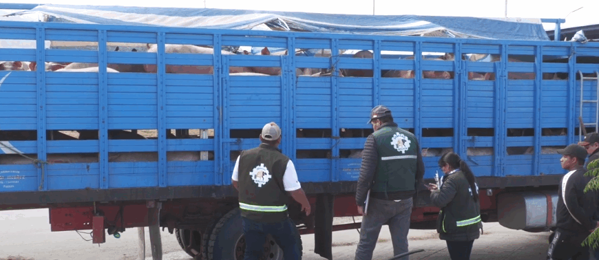MATADEROS RURALES DEBEN TRAMITAR LICENCIAS…