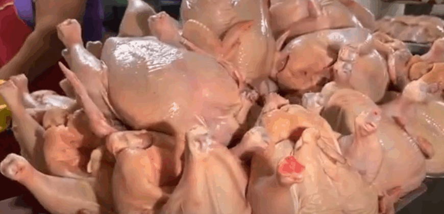 PRECIO DEL KILO DE POLLO PODRÍA SUBIR LA PRÓXIMA SEMANA