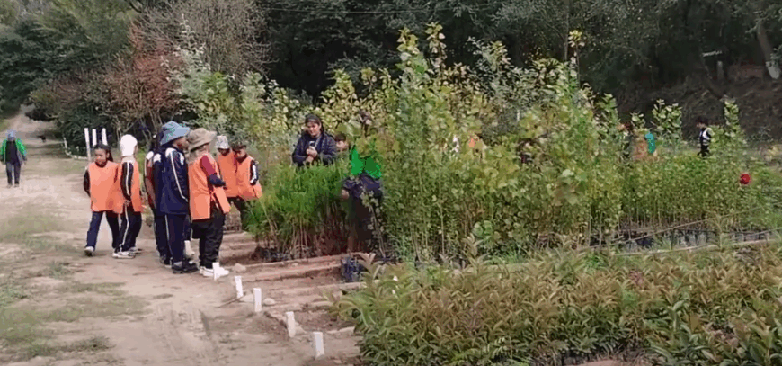 GOBERNACIÓN IMPULSA EDUCACIÓN MEDIOAMBIENTAL PARA…
