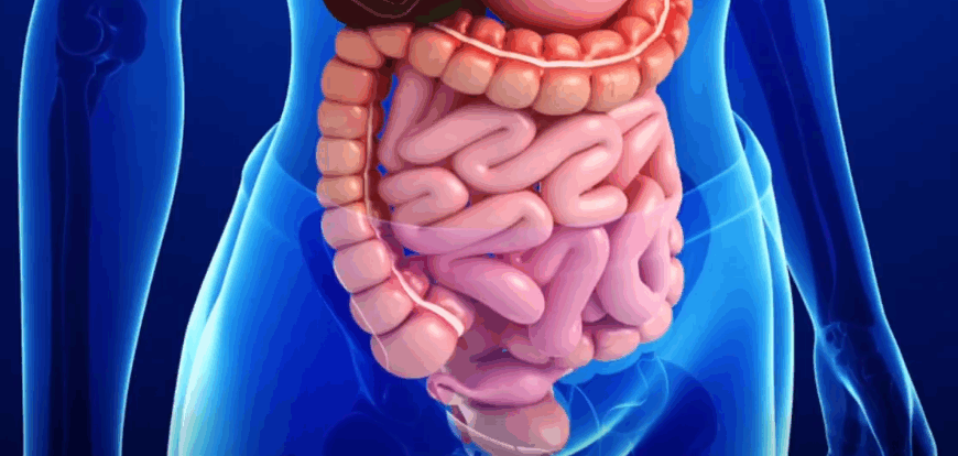 INFECCIONES ESTOMACALES SE PRESENTAN TODO EL AÑO