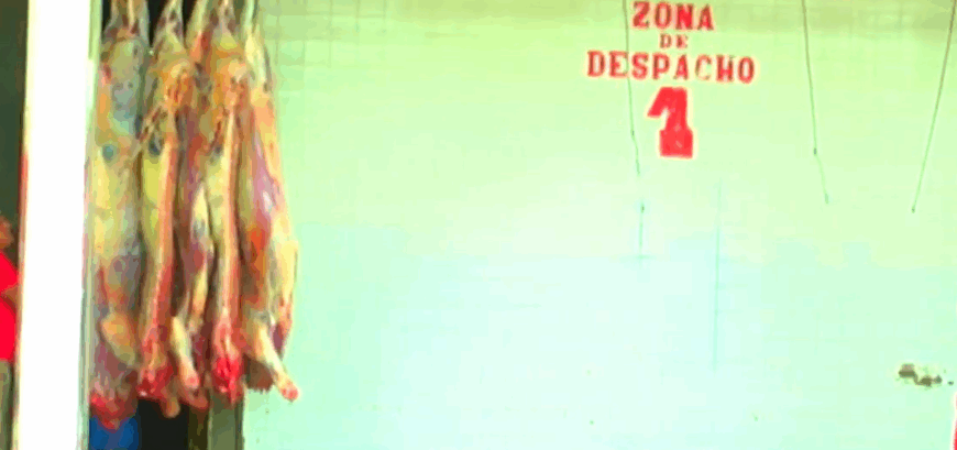 INSPECCIONARÁN MATADERO PARA GARANTIZAR CARNE DE RES PARA TARIJA