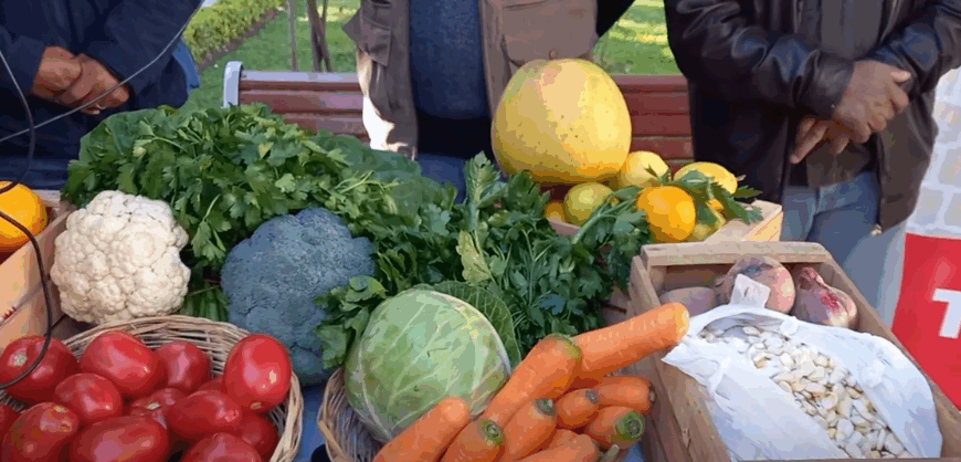 MAS DE 50 PRODUCTORES VENDERÁN EN LA FERIA “DEL CAMPO A LA OLLA”