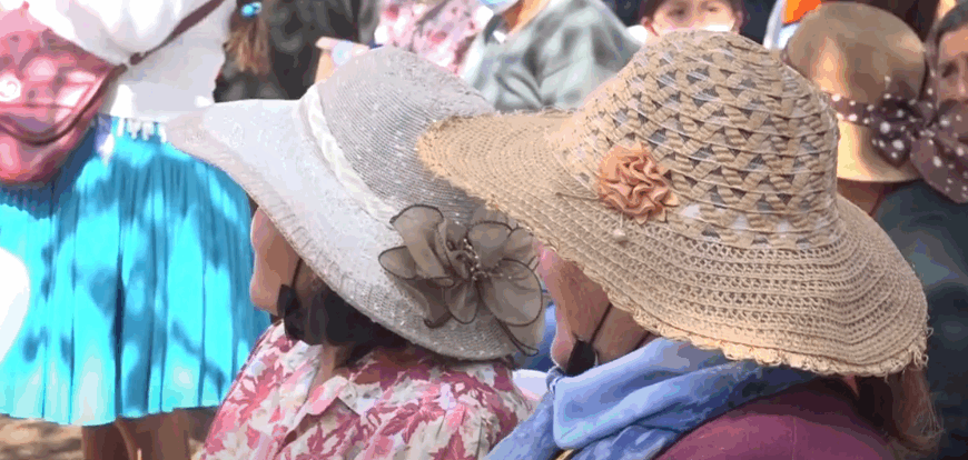 BUSCAN ERRADICAR TODO TIPO DE…
