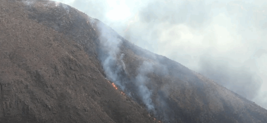 COIMATA REGISTRA EL PRIMER INCENDIO FORESTAL DE LA TEMPORADA