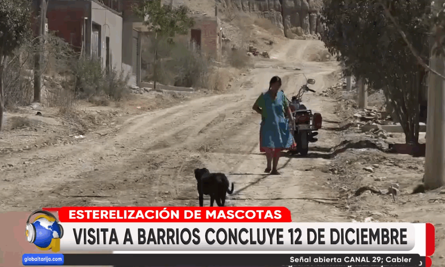 CONTINUA CAMPAÑA DE ESTERILIZACIÓN DE&hellip;