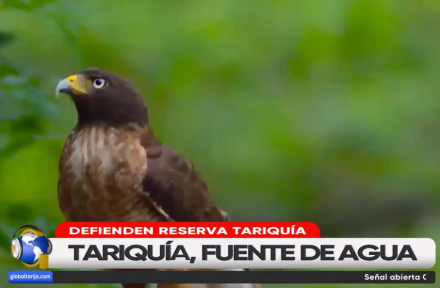 ACTIVISTAS AMBIENTALES PIDEN APOYO A&hellip;