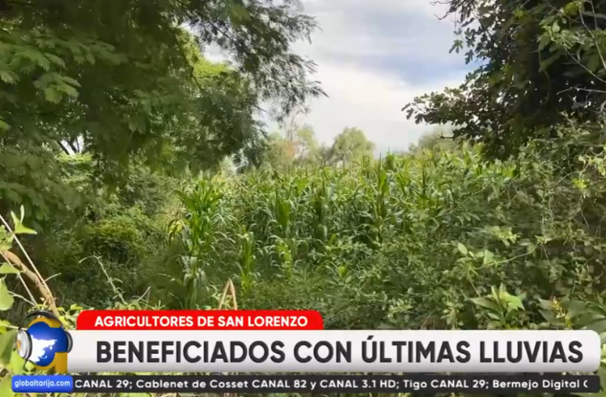 GRACIAS A LLUVIAS PRODUCTORES COSECHARÁN CHOCLO ANTES DEL CARNAVAL