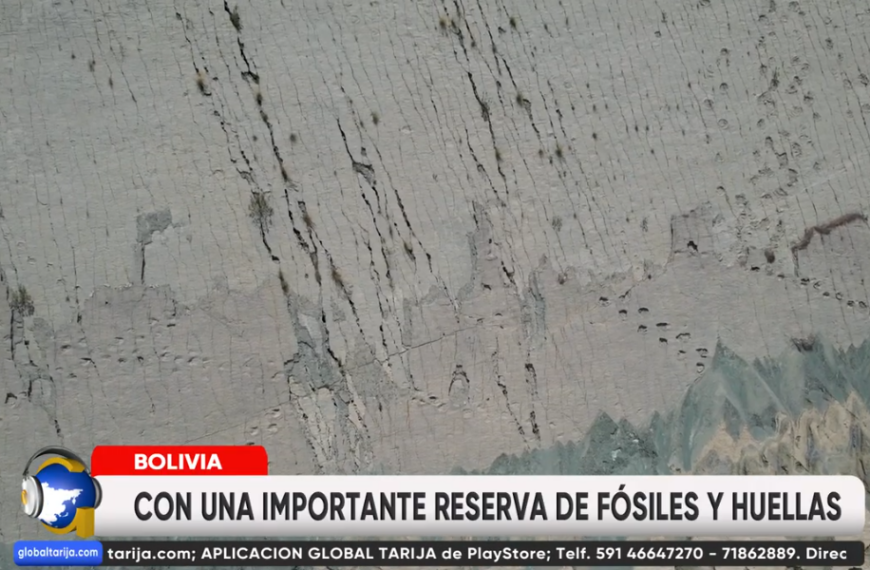 TARIJA EMERGE COMO CENTRO PALEONTOLOGICO&hellip;