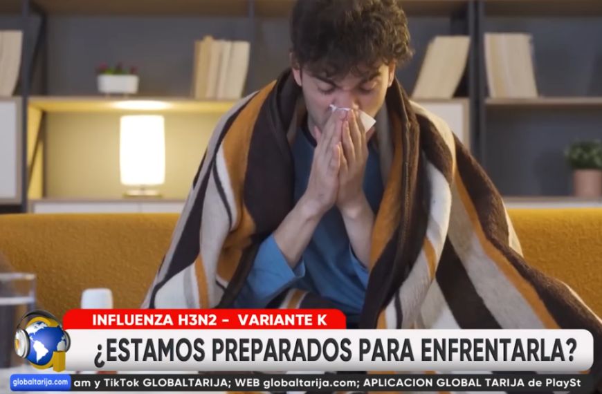 PIDEN AUTO CUIDADO PARA EVITAR INFLUENZA