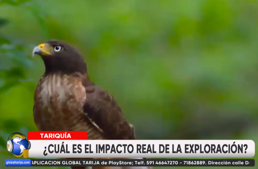 ADVIERTEN QUE ACTIVIDADES DE EXTRACCIÓN&hellip;