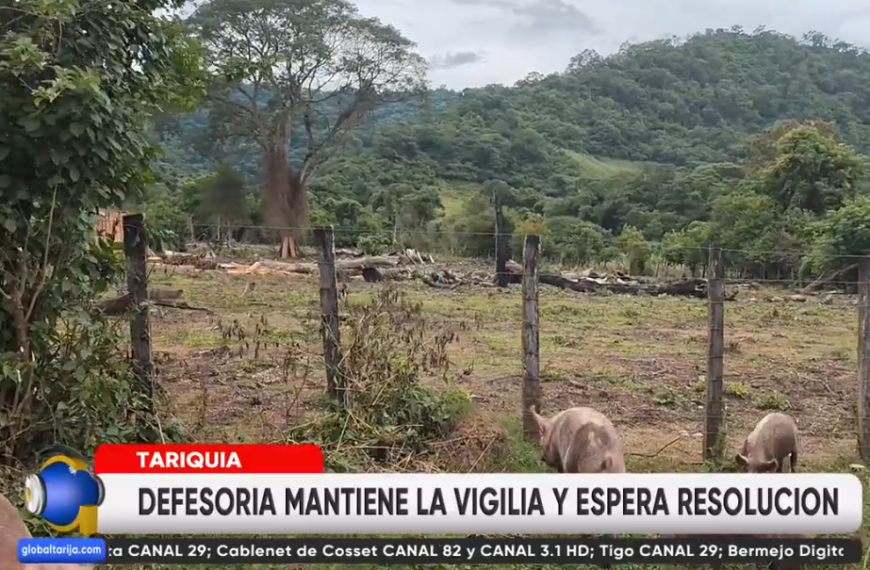 OBSERVAN QUE TRIBUNAL NO SE&hellip;