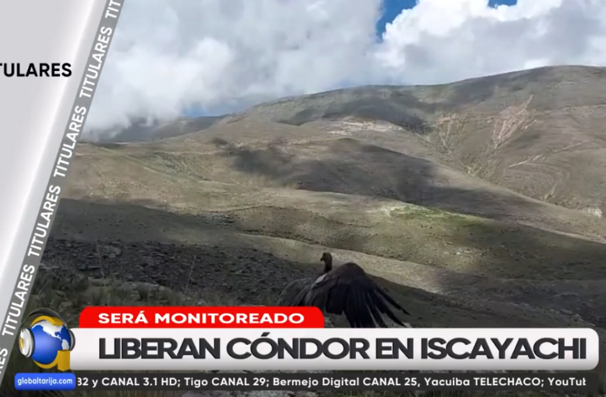 TITULARES GLOBAL TARIJA martes 20&hellip;