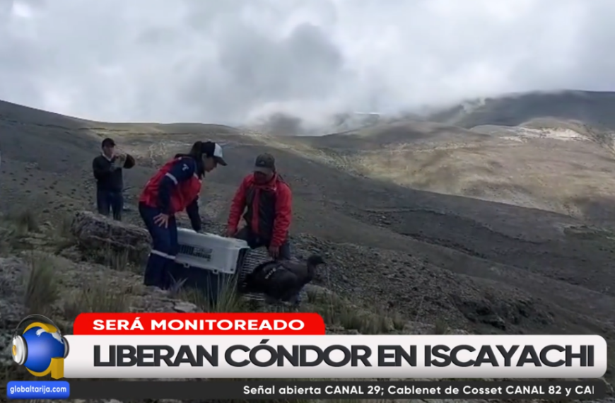 LIBERAN CÓNDOR CON DISPOSITIVO PARA&hellip;