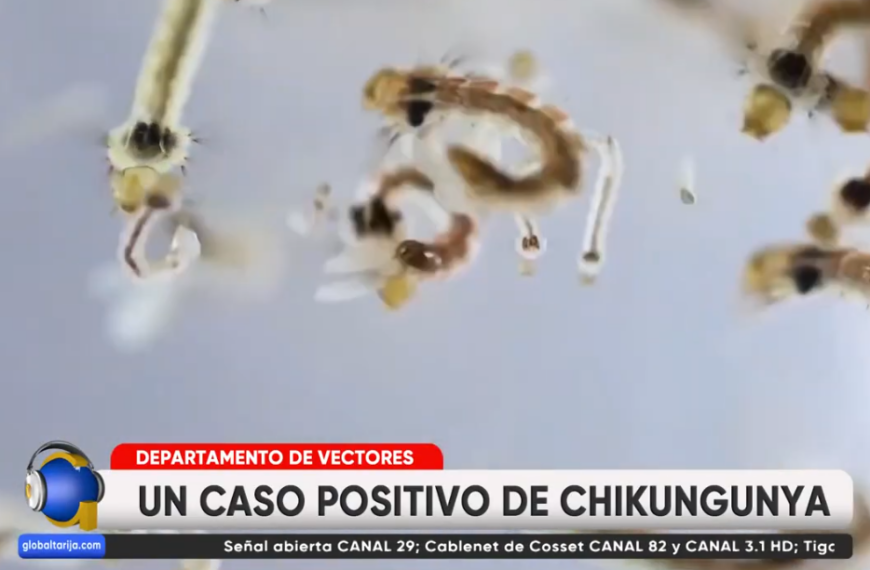 ALERTA: REGISTRAN EN YACUÍBA EL&hellip;