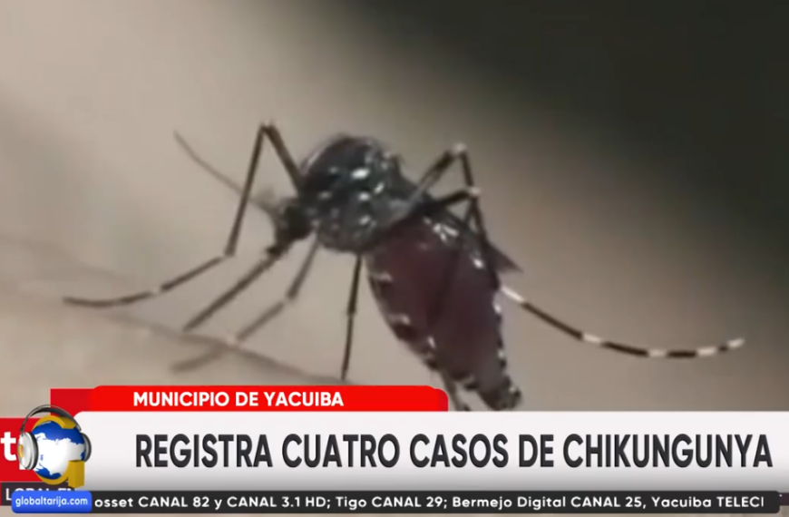 PREOCUPA APARICIÓN DE 4 CASOS&hellip;