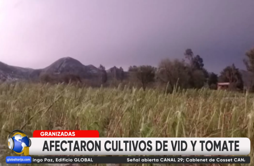 TARIJA: EVALÚAN DAÑOS A CULTIVOS&hellip;