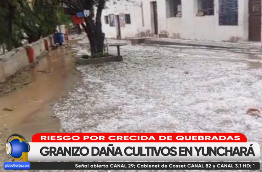 40 HECTÁREAS DE CULTIVOS EN&hellip;