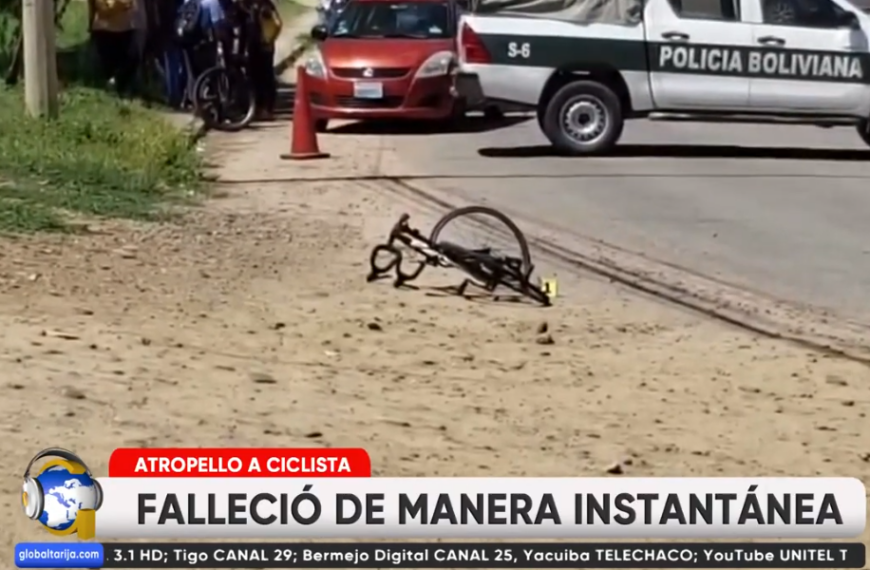 CHÓFER DEL TAXI QUE EMBISTIÓ A&hellip;