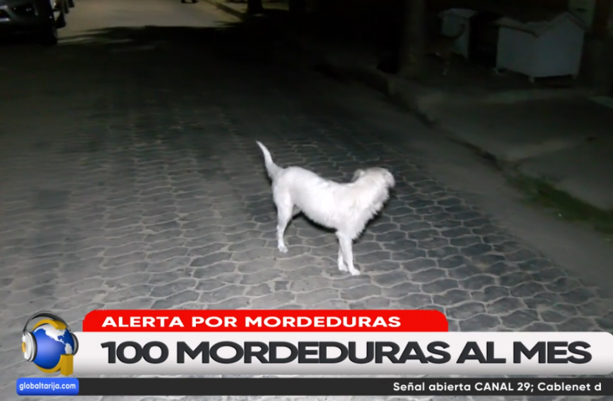 REPORTAN MAS DE 2 CASOS&hellip;