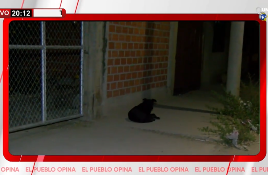 CANES: EXIGEN A MUNICIPIO DEMANDAR&hellip;