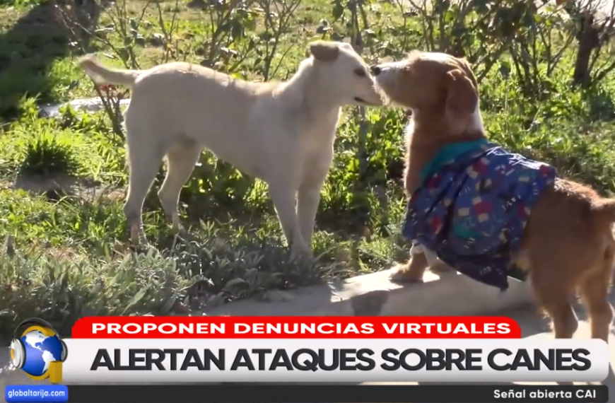 PROPONEN DENUNCIAR POR INTERNET PRESENCIA DE PERROS PELIGROSOS
