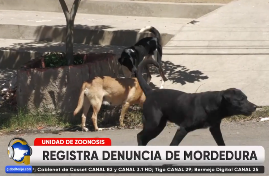 OTRA VÍCTIMA DE MORDEDURA: NIÑO&hellip;