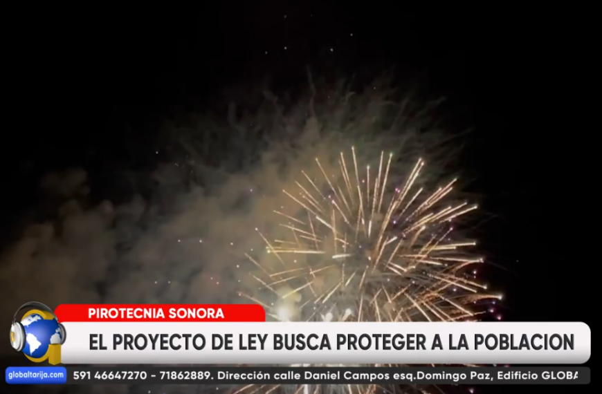 PRESENTAN PROYECTO DE LEY QUE PROHÍBE PIROTECNIA SONORA