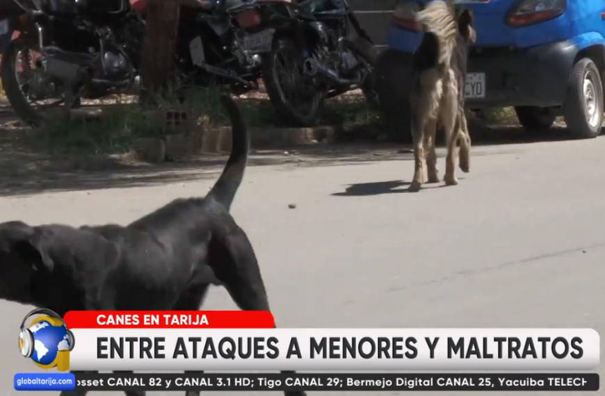 DESISTIMIENTO DE VÍCTIMAS DE MORDEDURAS AGRAVAN IMPUNIDAD