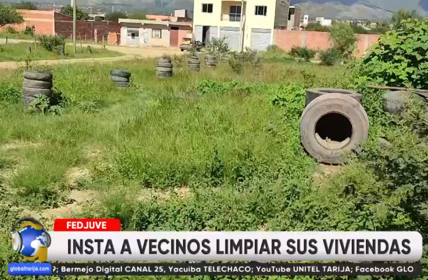 POR INCREMENTO DE CASOS DE CHIKUNGUNYA RECOMIENDAN LIMPIEZA EN CASAS