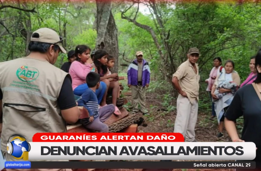 DESDE EL NORTE AVASALLAN TERRITORIOS GUARANÍES