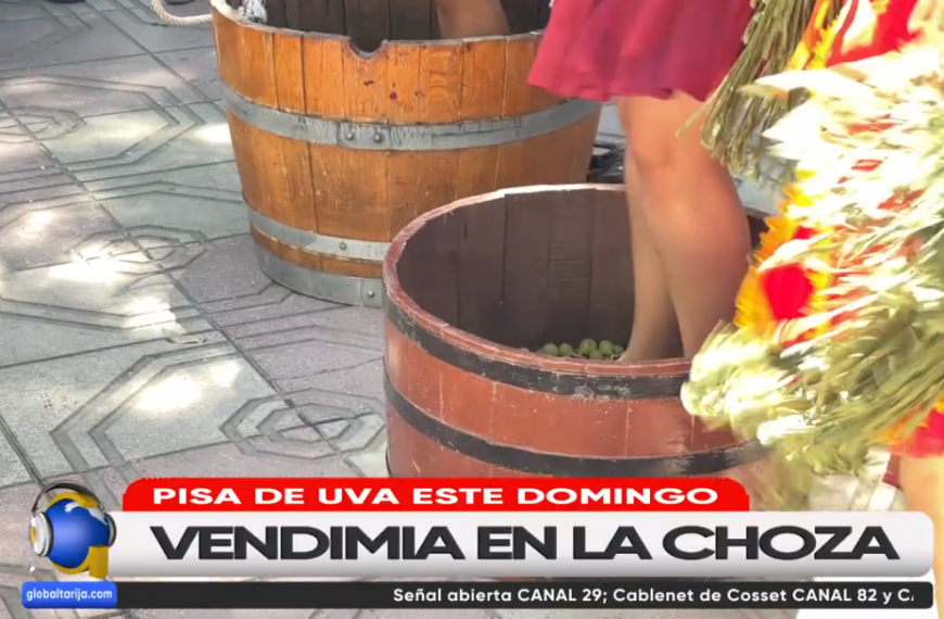 VENDIMIA: EL DOMINGO 1 DE&hellip;