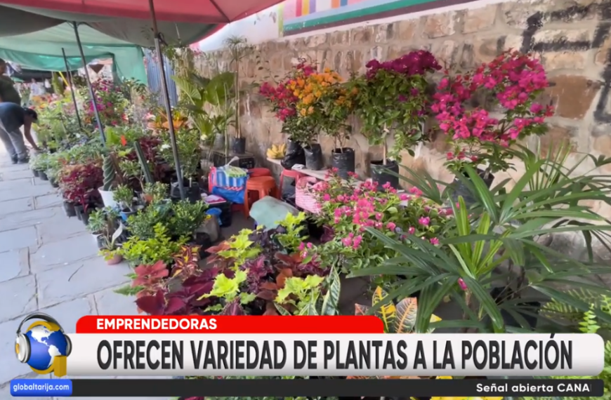 CRECE OFERTA DE PLANTAS DE TODO TIPO EN AV. POTOSÍ