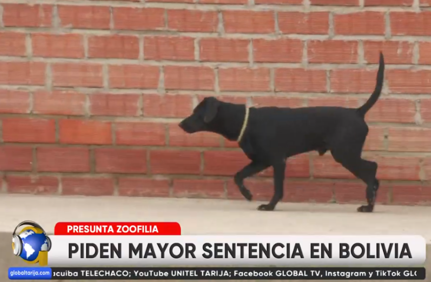 DENUNCIAN CASOS DE ZOOFILIA: UN CAN FUE ENCONTRADO SIN VIDA