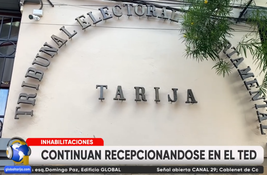 TED INHABILITA A PLANCHA DE CANDIDATOS DEL MOVIMIENTO TERCER SISTEMA