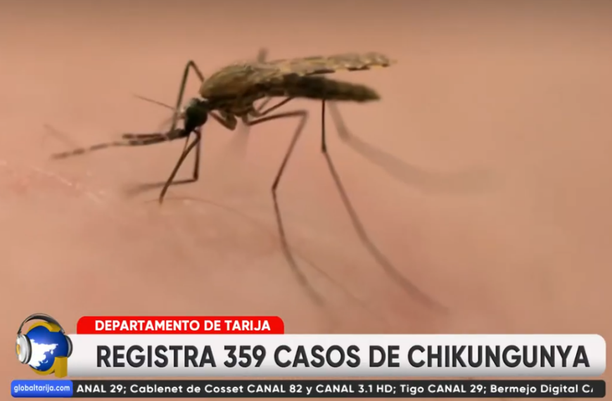 BERMEJO Y YACUÍBA CONCENTRAN MAYOR NÚMERO DE CASOS DE CHIKUNGUNYA