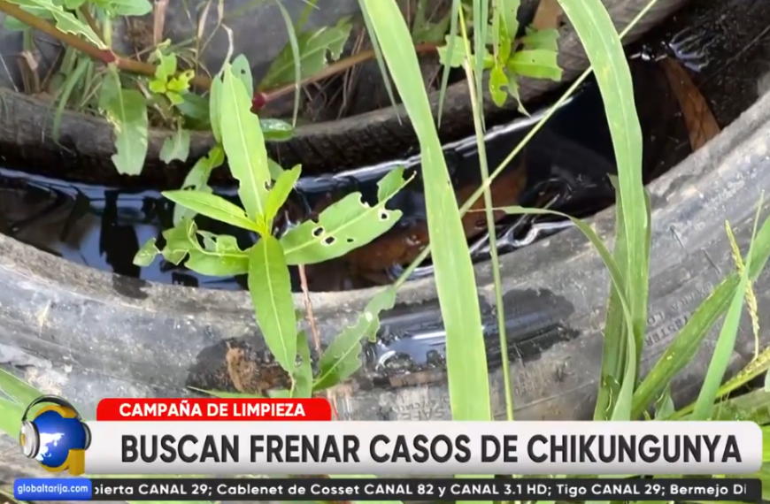 INSTITUCIONES DESARROLLAN MEGA CAMPAÑA DE LIMPIEZA EN TARIJA