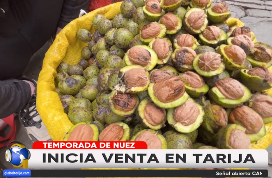 ¡APROVECHE! LLEGAN NUECES A LA CAPITAL