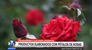 Captura de pantalla 2026-03-16 191213