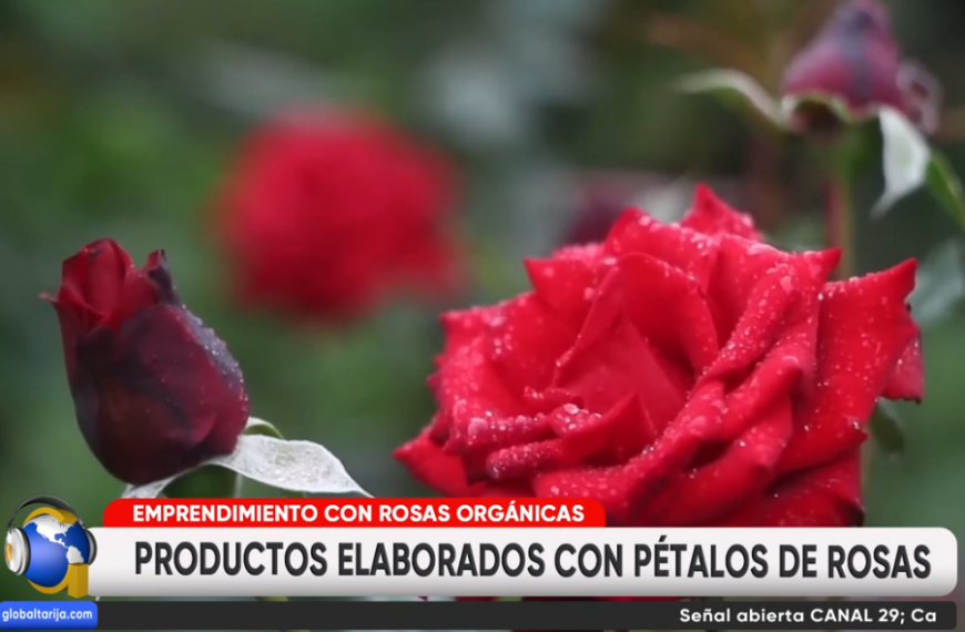 EMPRENDEDORES DESTACA CON PRODUCTORES EN BASE A FLORES