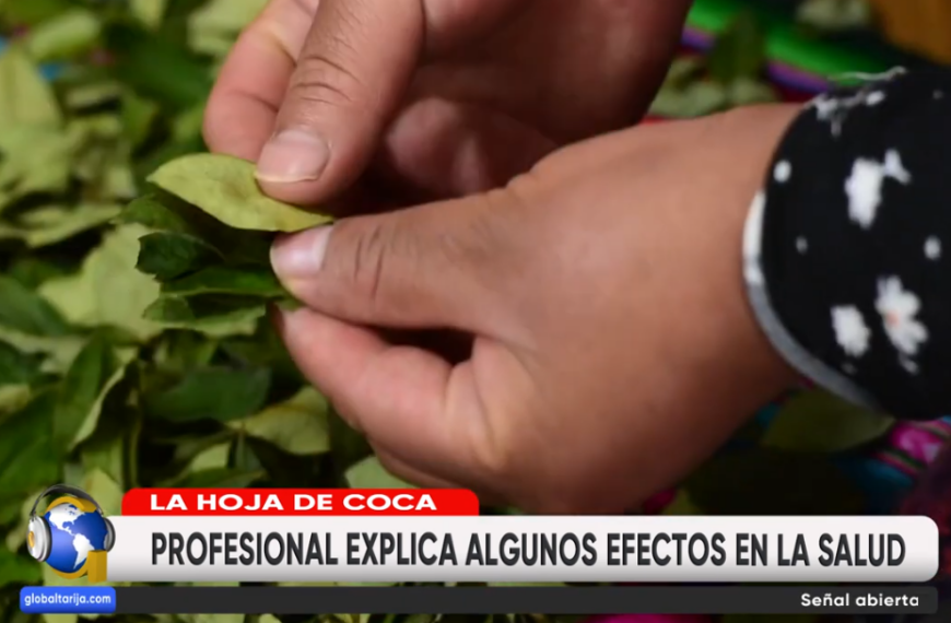 PSICÓLOGO: MASCAR COCA GENERA DEPENDENCIA