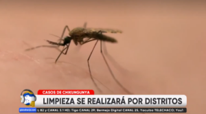 Captura de pantalla 2026-03-17 204900