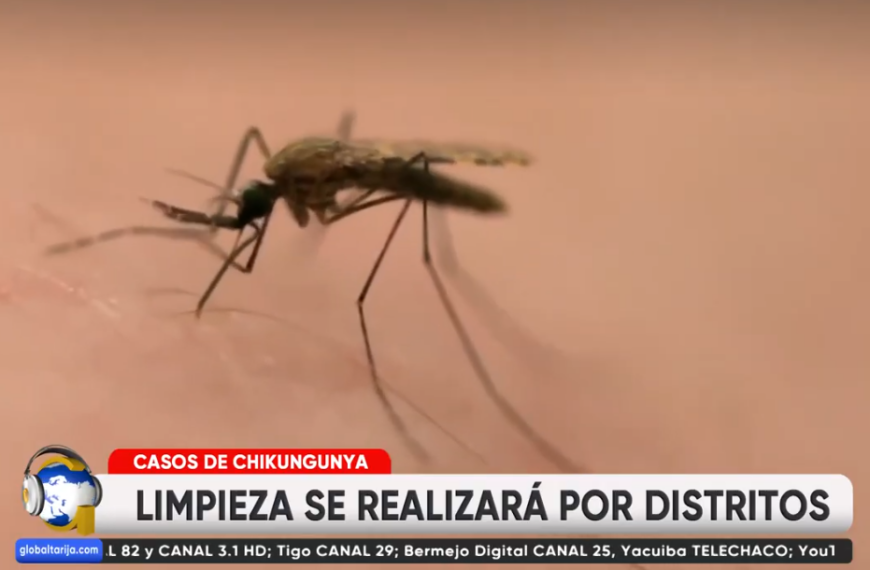 INSTITUCIONES INCREMENTAN LIMPIEZA GENERAL CONTRA LA CHIKUNGUNYA