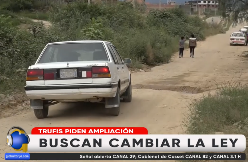 QUIEREN INGRESAR MINIBUSES AL SERVICIO DE TRANSPORTE PÚBLICO