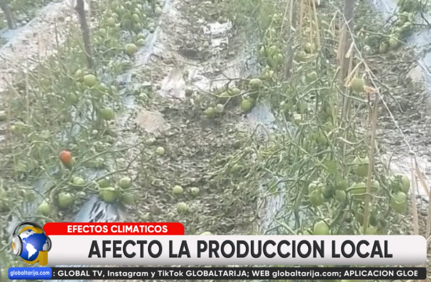 RECIENTES DESASTRES NATURALES AFECTARON A 39 COMUNIDADES