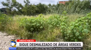 Captura de pantalla 2026-03-18 200206