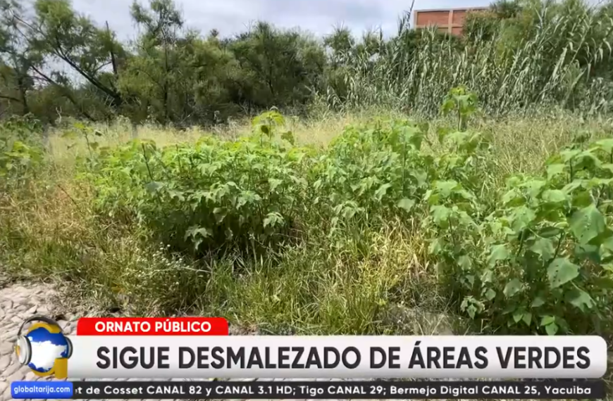 MUNICIPIO EJECUTA DESMALEZADO EN ÁREAS VERDES DE LA CAPITAL