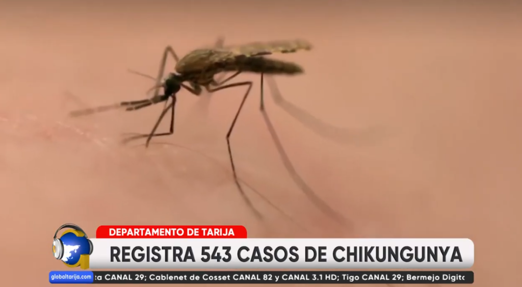Captura de pantalla 2026-03-18 200232