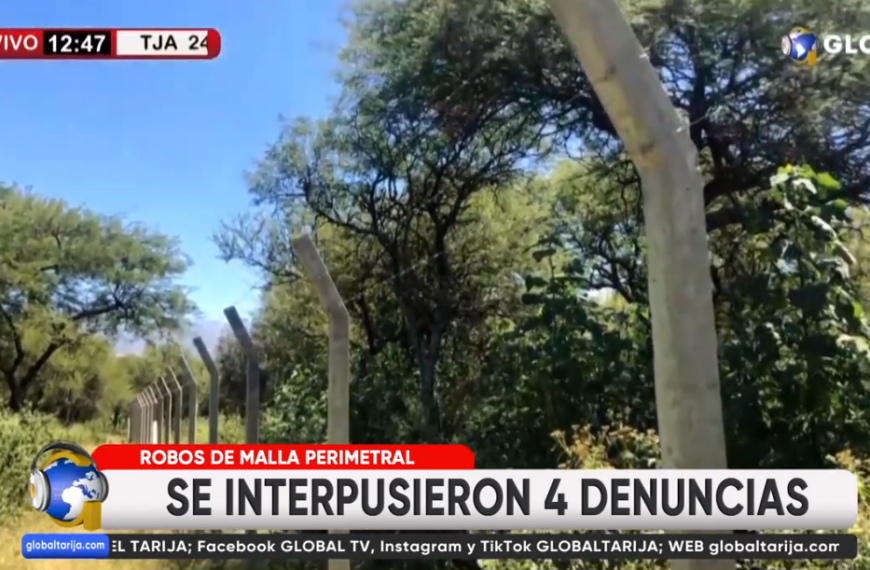 TRAMITAN 4 PROCESOS CONTRA LADRONES DE MALLA PERIMETRAL