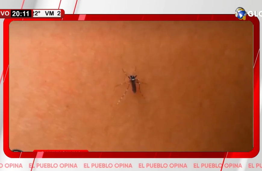 PARA FRENAR PROLIFERACIÓN DE MOSQUITOS PIDEN HIGIENE EN VIVIENDAS