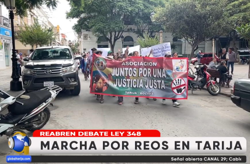 DEBATIRAN REFORMAS A LEY 348 PARA EVITAR INJUSTICIAS